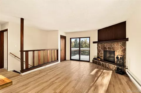 Living - 217 Catamount Ridge Rd, Bailey, CO 80421 photo 3 of 3