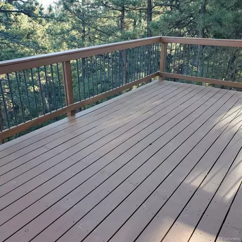 Exterior - 217 Catamount Ridge Rd, Bailey, CO 80421 photo 4 of 8