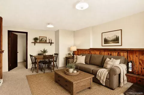 Other - 217 Catamount Ridge Rd, Bailey, CO 80421 photo 2 of 14