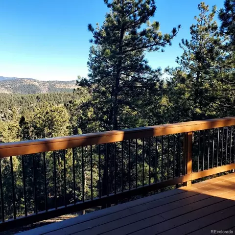 Exterior - 217 Catamount Ridge Rd, Bailey, CO 80421 photo 5 of 8