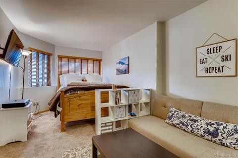 716 E Anemone Trl #J, Dillon, CO 80435 photo 22