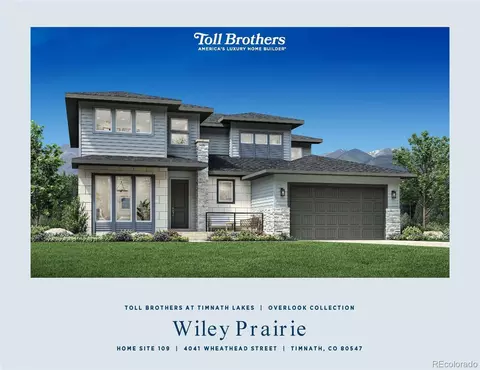 Other - 4041 Wheathead St, Timnath, CO 80547 photo 2 of 5