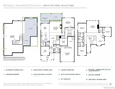 Floorplan - 4041 Wheathead St, Timnath, CO 80547 photo 1 of 1