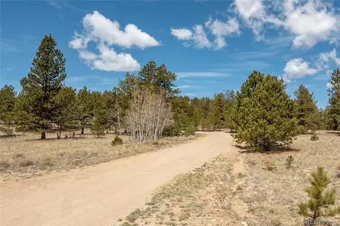 Other - 75 Whip Way, Hartsel, CO 80449 photo 13 of 13
