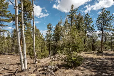 Other - 75 Whip Way, Hartsel, CO 80449 photo 12 of 13