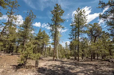 Other - 75 Whip Way, Hartsel, CO 80449 photo 2 of 13