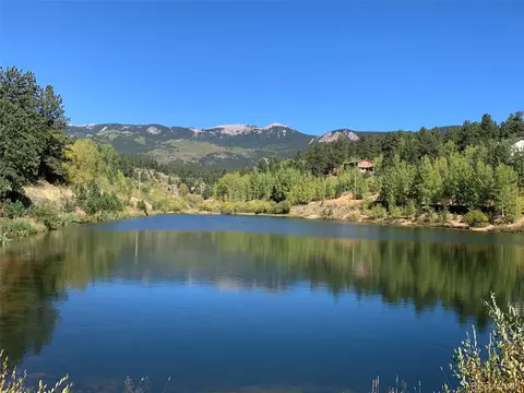 163 Ward St, Bailey, CO 80421 photo 24