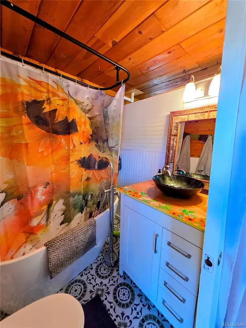 163 Ward St, Bailey, CO 80421 photo 14