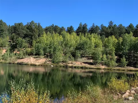 163 Ward St, Bailey, CO 80421 photo 23