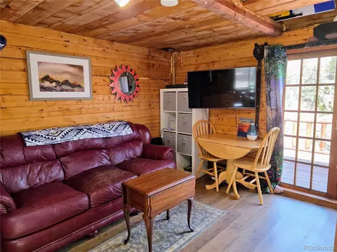 163 Ward St, Bailey, CO 80421 photo 13