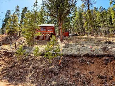 163 Ward St, Bailey, CO 80421 photo 21