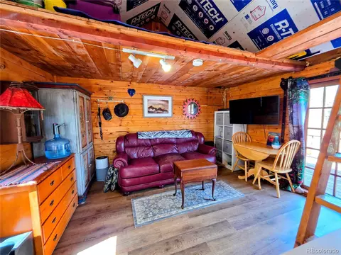 163 Ward St, Bailey, CO 80421 photo 11