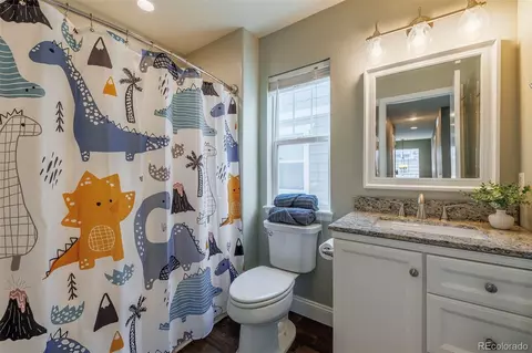 2199 Broadleaf Loop, Castle Rock, CO 80109 photo 26