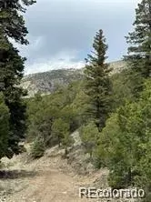 Unit 2/7 Arrestre, Mosca, CO 81146 photo 4
