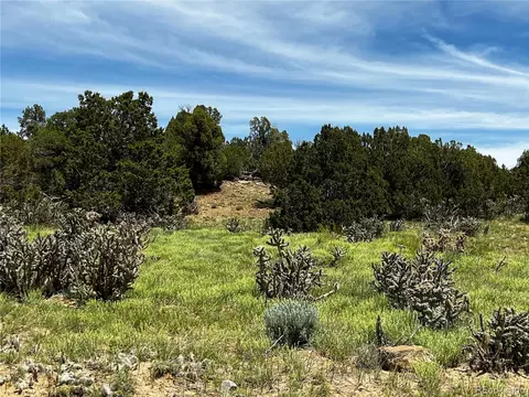 lot589 La Deora Blvd, Walsenburg, CO 81089
