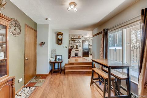 31210 Florence Rd, Conifer, CO 80433 photo 16