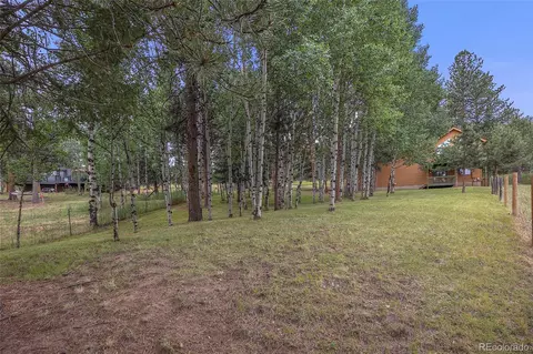 478 Chickadee Ln, Bailey, CO 80421 photo 33