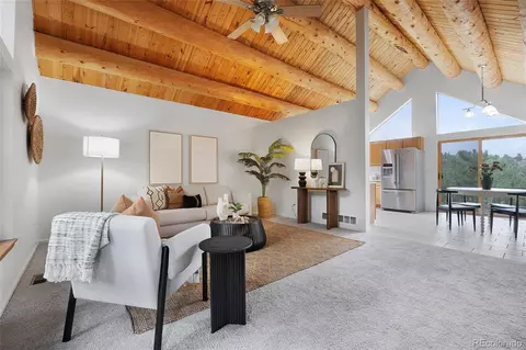 478 Chickadee Ln, Bailey, CO 80421 photo 6