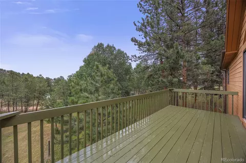478 Chickadee Ln, Bailey, CO 80421 photo 8