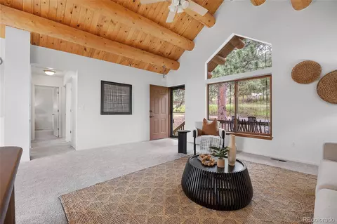 478 Chickadee Ln, Bailey, CO 80421 photo 34