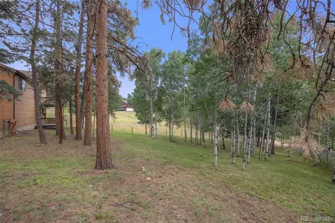 478 Chickadee Ln, Bailey, CO 80421 photo 32