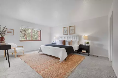 478 Chickadee Ln, Bailey, CO 80421 photo 15