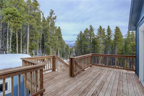 9039 Krashin Dr, Conifer, CO 80433 photo 4