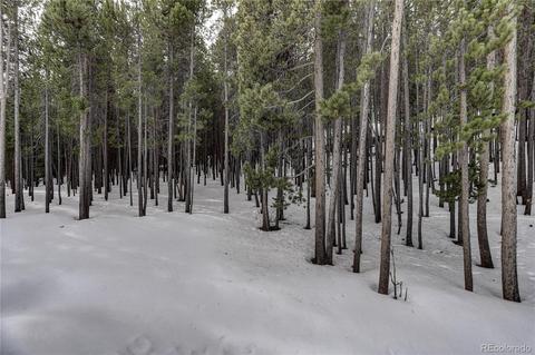 9039 Krashin Dr, Conifer, CO 80433 photo 33