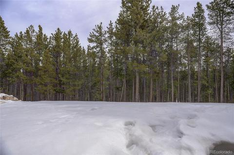 9039 Krashin Dr, Conifer, CO 80433 photo 31