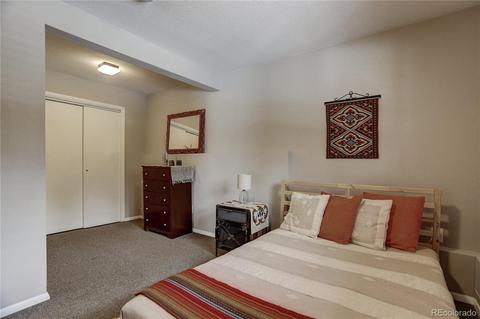 9039 Krashin Dr, Conifer, CO 80433 photo 27