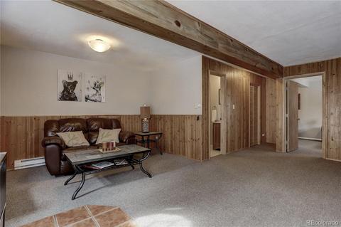 9039 Krashin Dr, Conifer, CO 80433 photo 20
