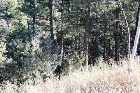 Lot A Pine Slope Road, Idaho Springs, CO 80452