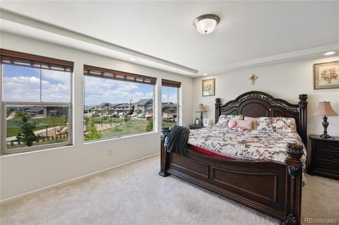 5563 Cathay Ct, Denver, CO 80249 photo 13