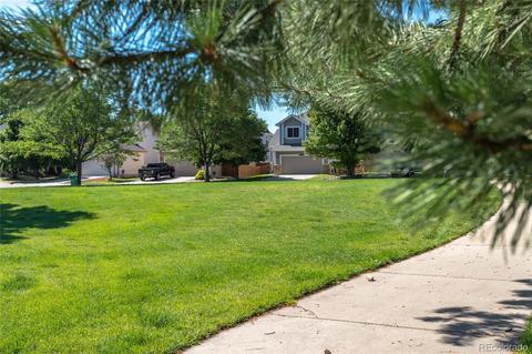 6860 Quincy Ave, Longmont, CO 80504 photo 25