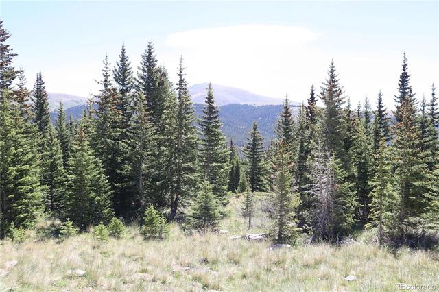 1480 Roberts Rd, Fairplay, CO 80440