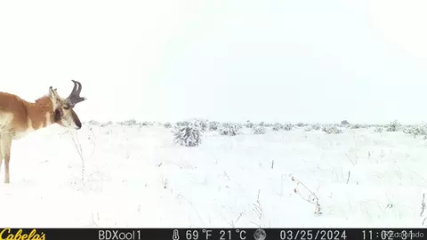 County Road 93.9, Model, CO 81059 photo 4