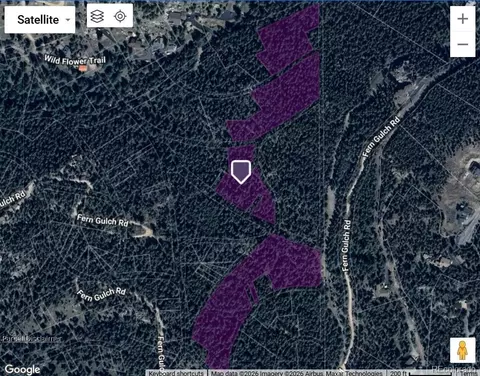 0, Evergreen, CO 80439 photo 8