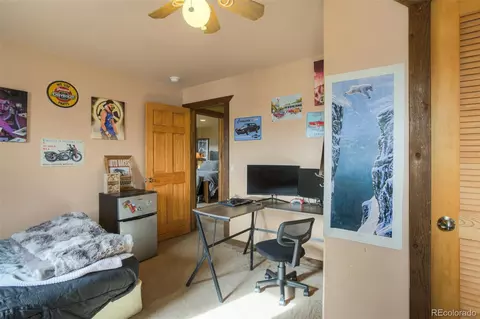 73 Mid Land Ave, Hartsel, CO 80449 photo 21