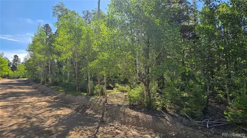 lot5816 Balleroy Rd, Fort Garland, CO 81133