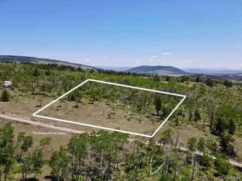 74 Forest Dr, Fairplay, CO 80440