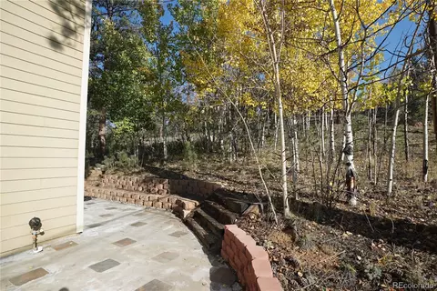 Exterior - 68 Jones Rd, Bailey, CO 80421 photo 6 of 7