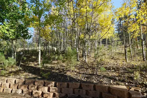 Exterior - 68 Jones Rd, Bailey, CO 80421 photo 7 of 7