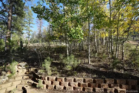 Exterior - 68 Jones Rd, Bailey, CO 80421 photo 5 of 7