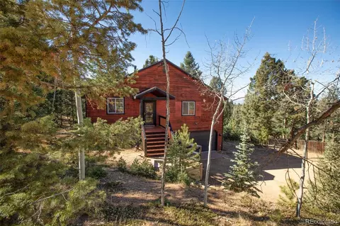 831 Trout Haven Rd, Florissant, CO 80816