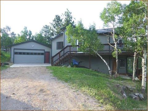 169 S Pine Dr, Bailey, CO 80421 photo 2