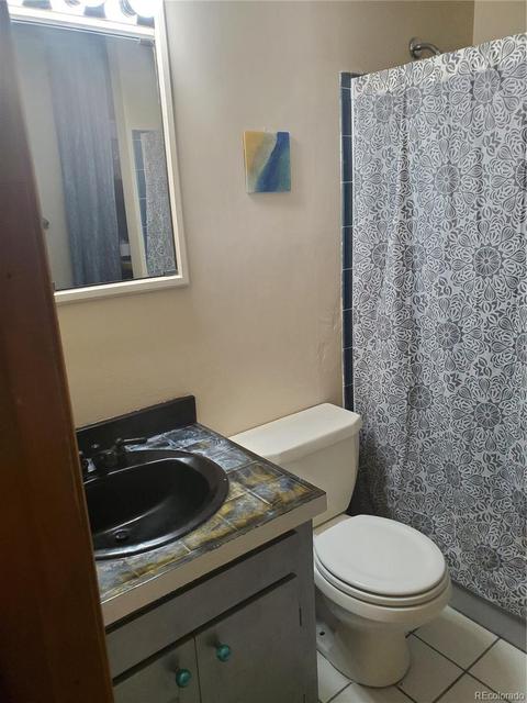 169 S Pine Dr, Bailey, CO 80421 photo 21