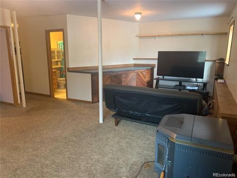 169 S Pine Dr, Bailey, CO 80421 photo 20