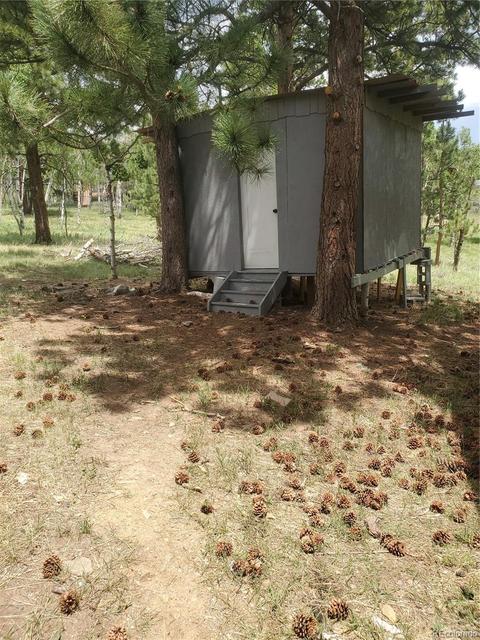 169 S Pine Dr, Bailey, CO 80421 photo 22