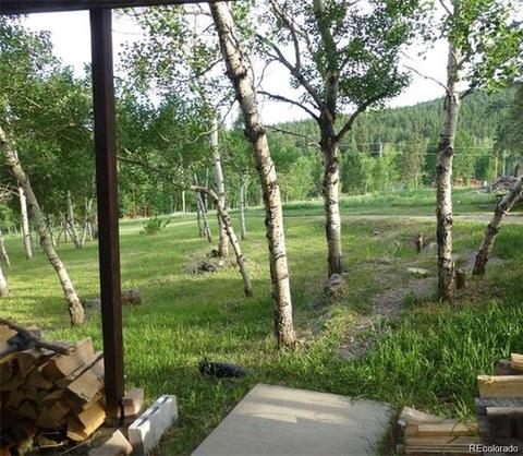169 S Pine Dr, Bailey, CO 80421 photo 3