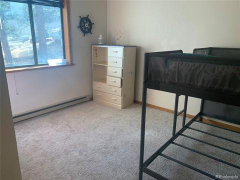 169 S Pine Dr, Bailey, CO 80421 photo 12